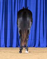 Blue_8801