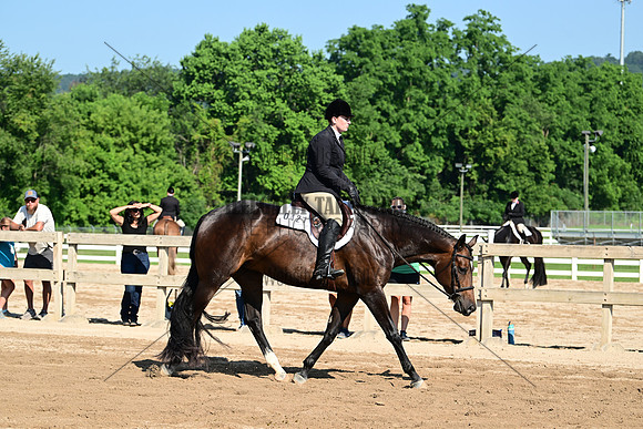 AJB_8940