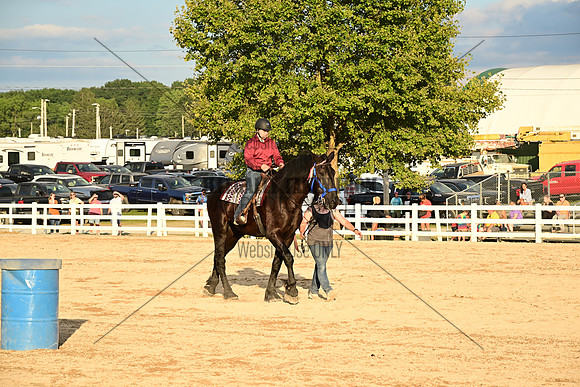 AJB_0751
