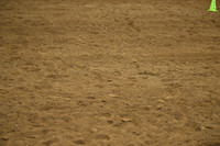 AJB_9330