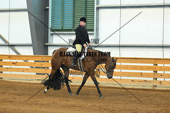 AJB_8919