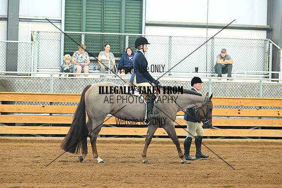 AJB_8977