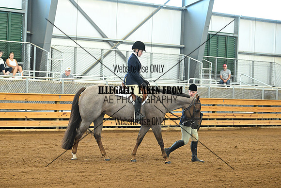 AJB_8979