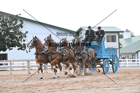 AJB_0193