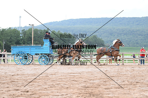 AJB_0223