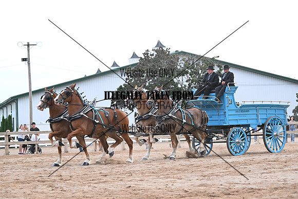 AJB_0194