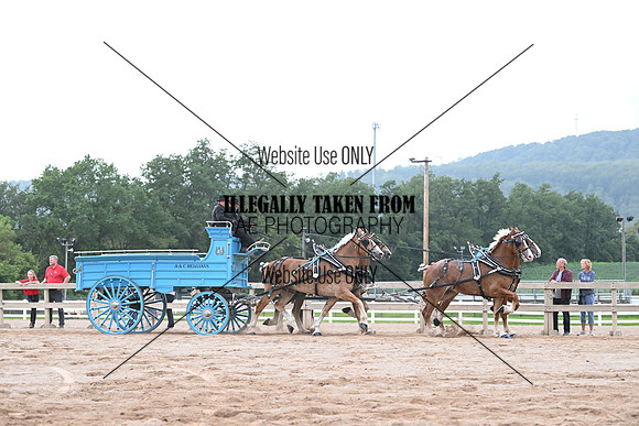 AJB_0231