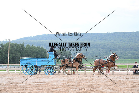 AJB_0232