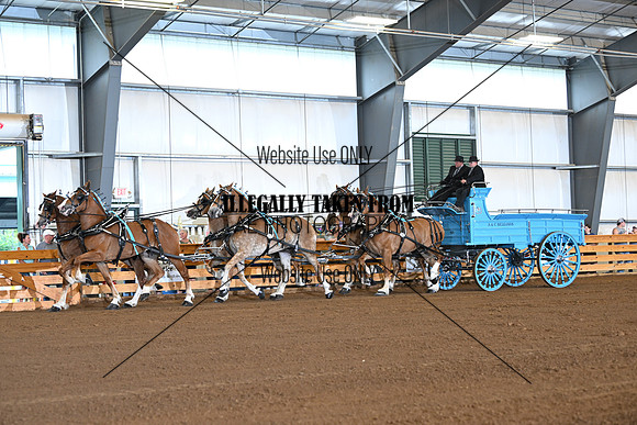 AJB_0769