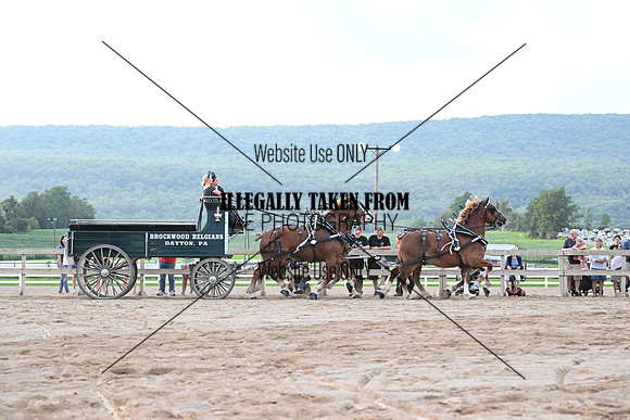 AJB_0060