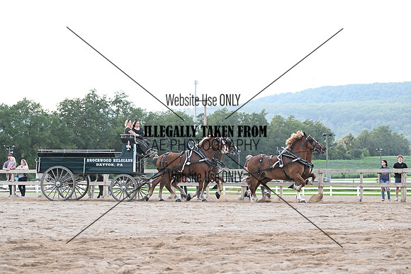 AJB_0068