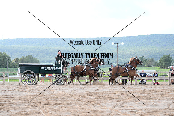 AJB_0069