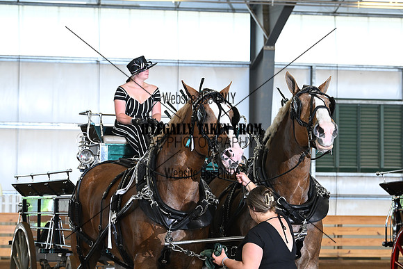 AJB_0661