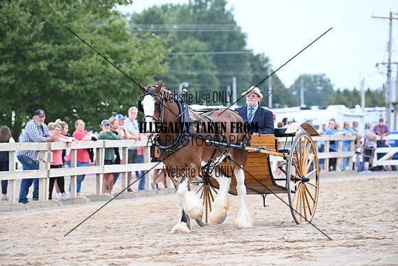 AJB_9964
