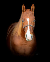 Chex_PSU2_4215_head