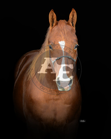 Chex_PSU2_4215_head
