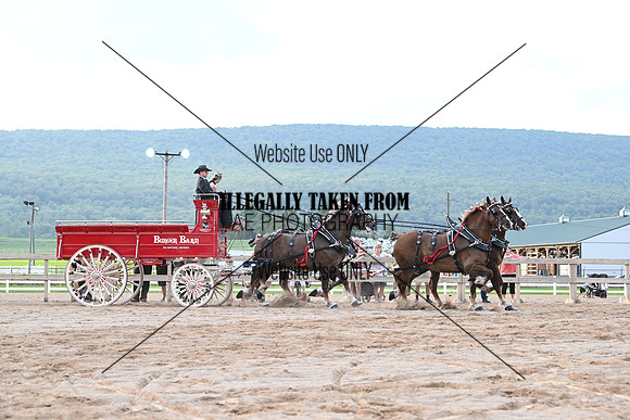 AJB_0071