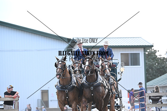 AJB_0257