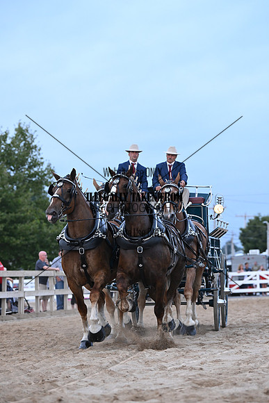 AJB_0272
