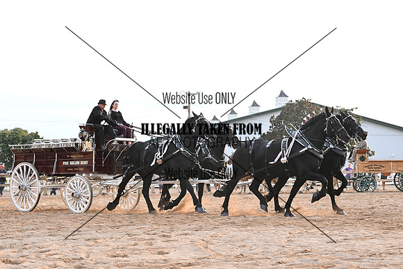 AJB_0145