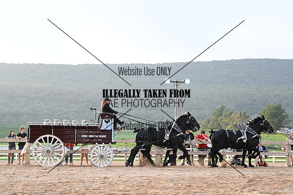 AJB_0156