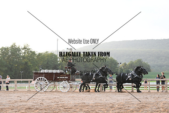 AJB_0167