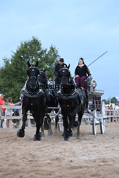 AJB_0264