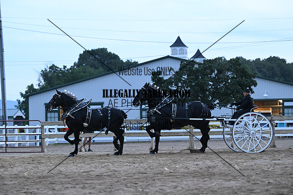 AJB_0309