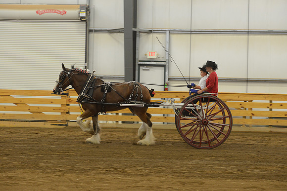 Men’s Cart_Clydesdales-13