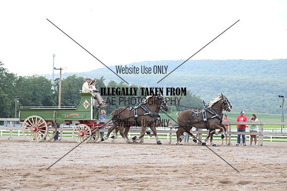AJB_0067