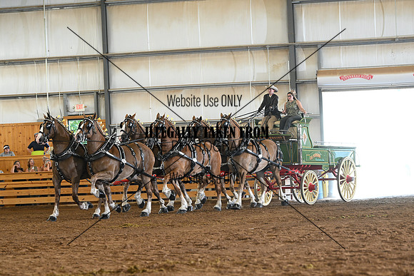 AJB_0964