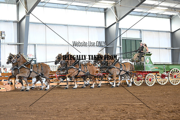 AJB_0976