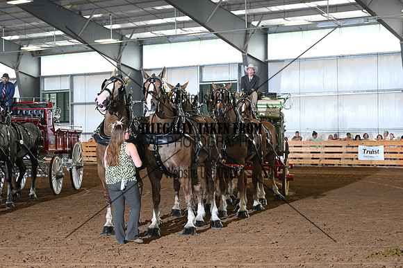 AJB_0998