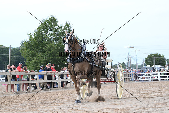 AJB_9914