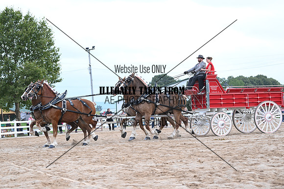 AJB_0034
