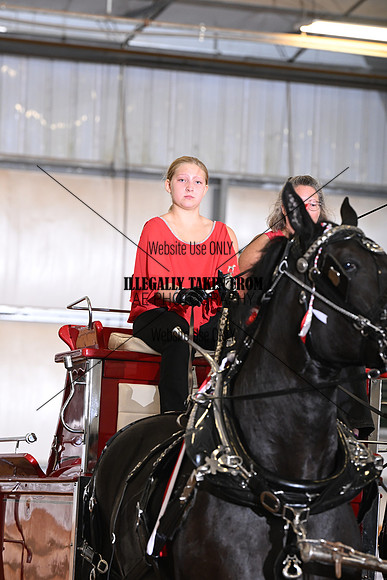 AJB_2909