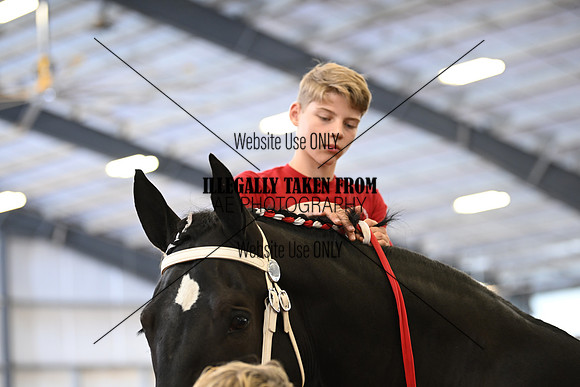 AJB_1653