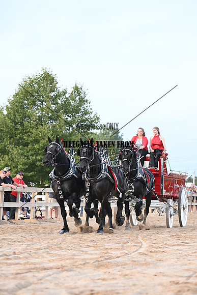 AJB_0094