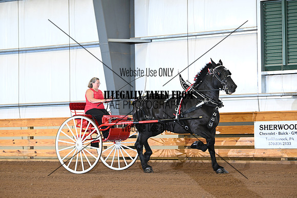 AJB_0379