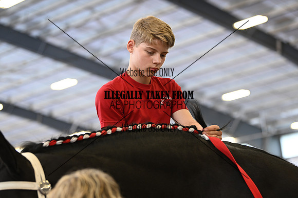 AJB_1708