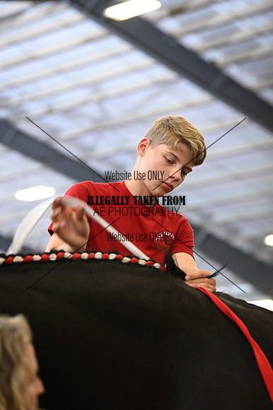 AJB_1709