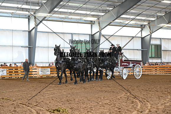 AJB_0932