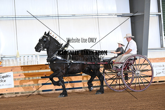 AJB_2219