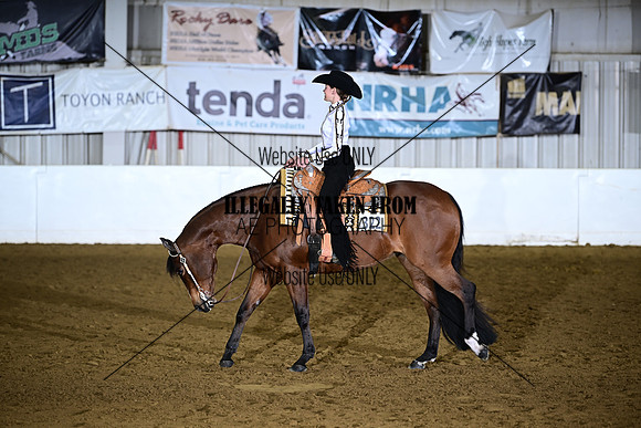 ASH_3003