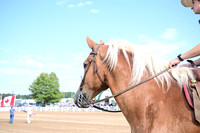 AJB_0362