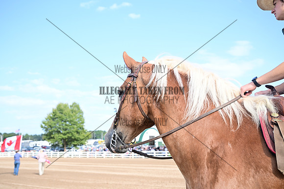 AJB_0362