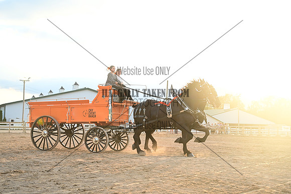 AJB_0795