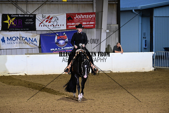 AJB_2639