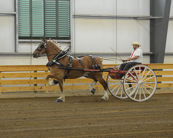 Thursday_cartclasses -7