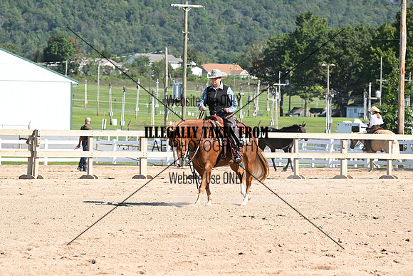 AJB_3819